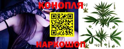 Альфа ПВП Заводоуковск