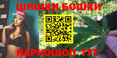 мдпв Жуковский